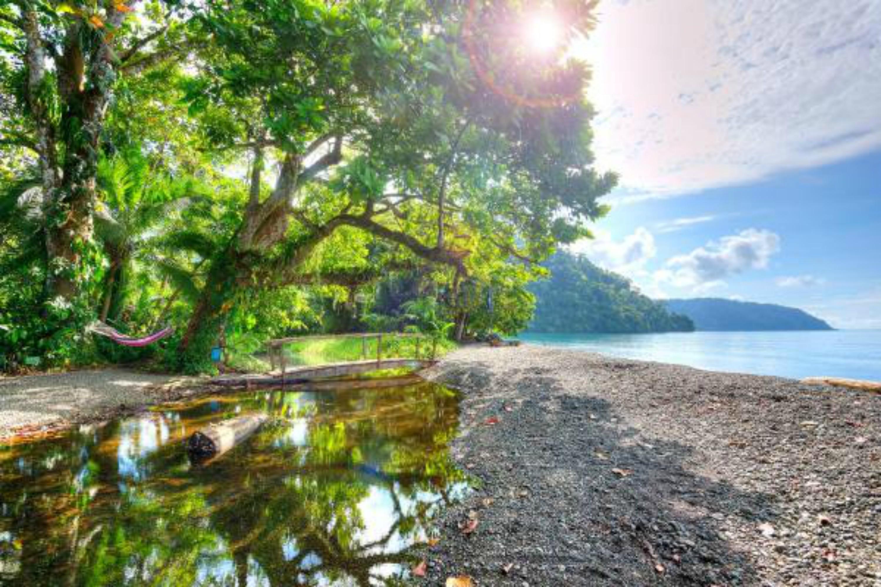 Playa Nicuesa Rainforest Eco Sanctuary Golfito Luaran gambar