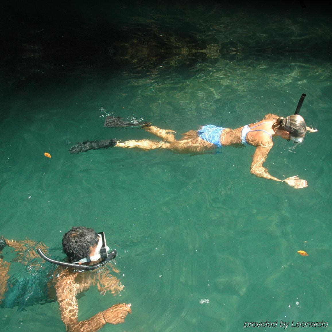 Playa Nicuesa Rainforest Eco Sanctuary Golfito Luaran gambar
