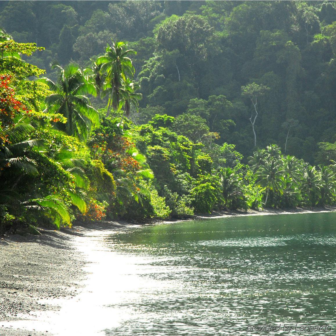 Playa Nicuesa Rainforest Eco Sanctuary Golfito Luaran gambar