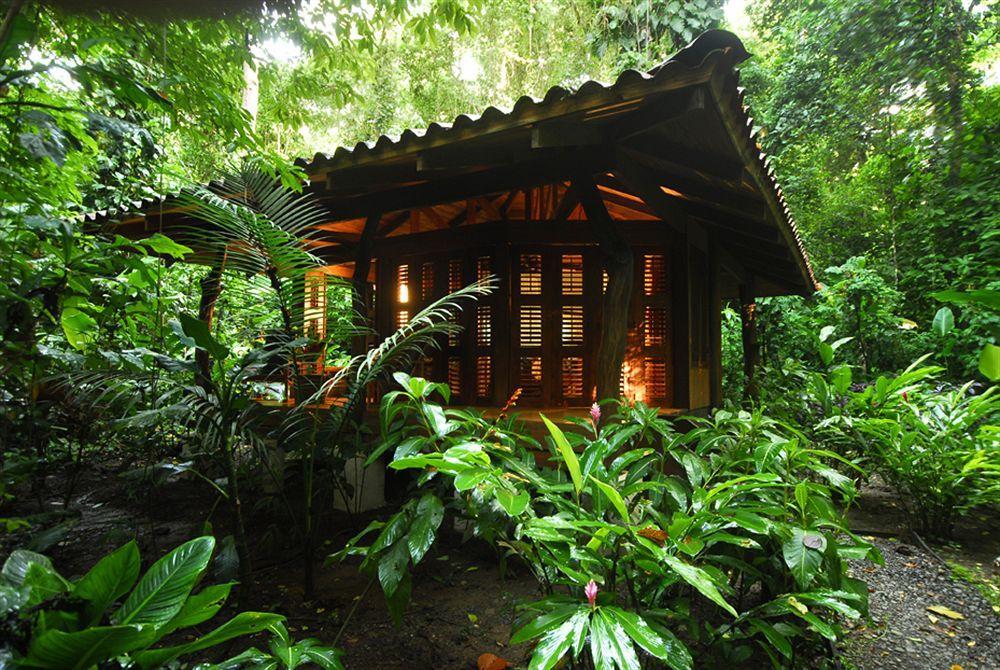 Playa Nicuesa Rainforest Eco Sanctuary Golfito Luaran gambar