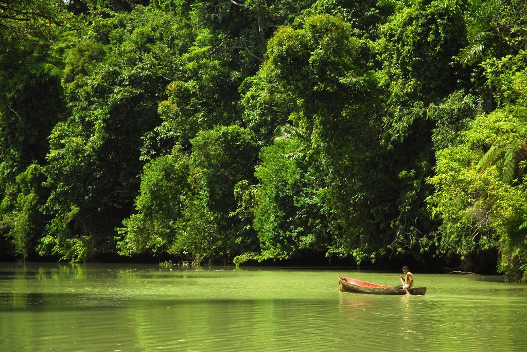 Playa Nicuesa Rainforest Eco Sanctuary Golfito Luaran gambar